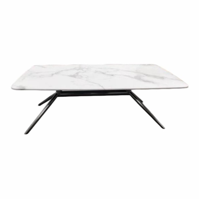 Sintered Coffee Table