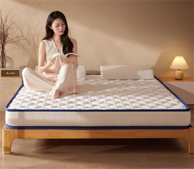 Home Queen Mattress
