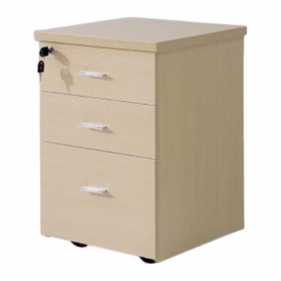 Mobile Office Cabinet