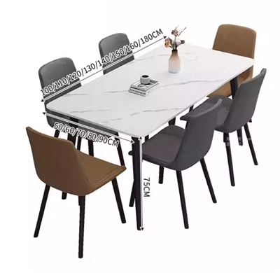 Modern Home Dining Table