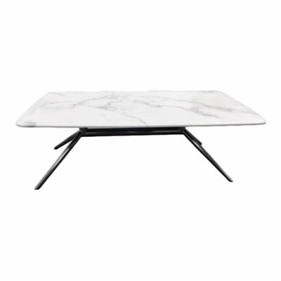 Sintered Coffee Table